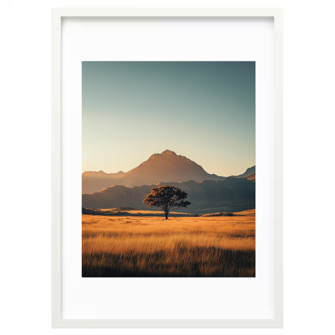 The Field's Guardian Tree