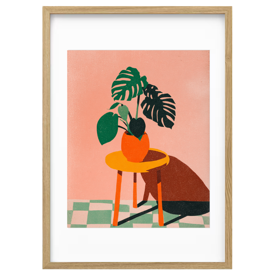 Palm A Place to Grow