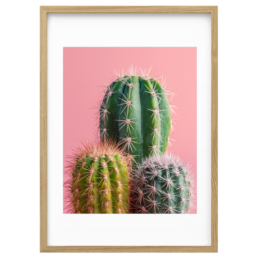 Blush & Spines