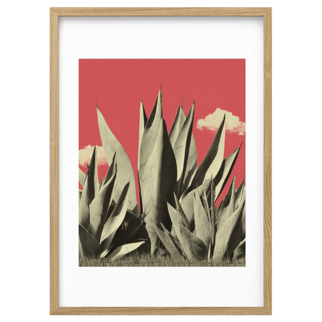 Before Bloom