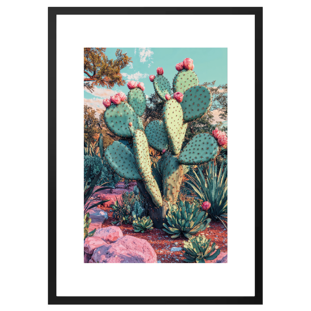 Cactus