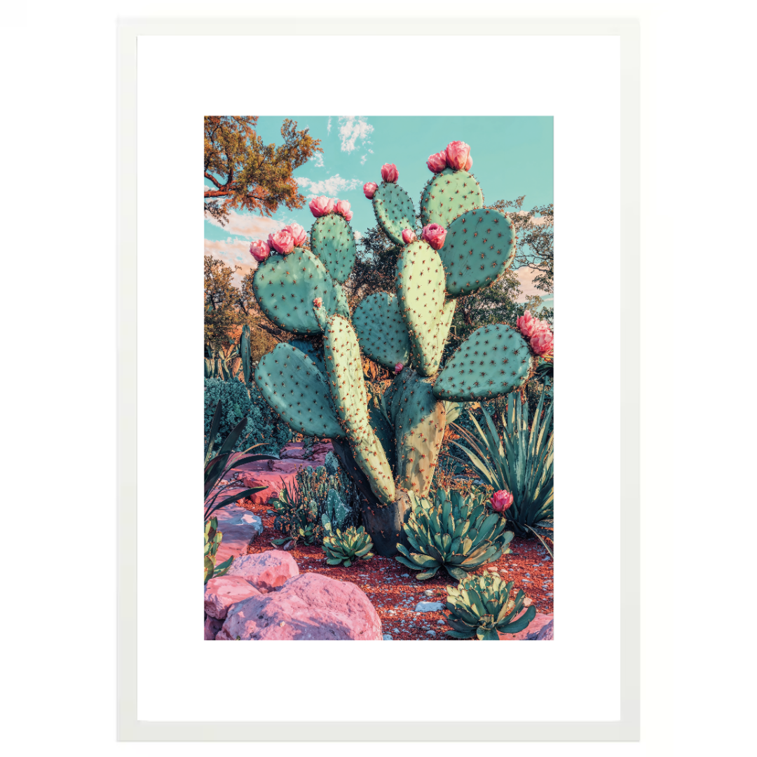 Cactus