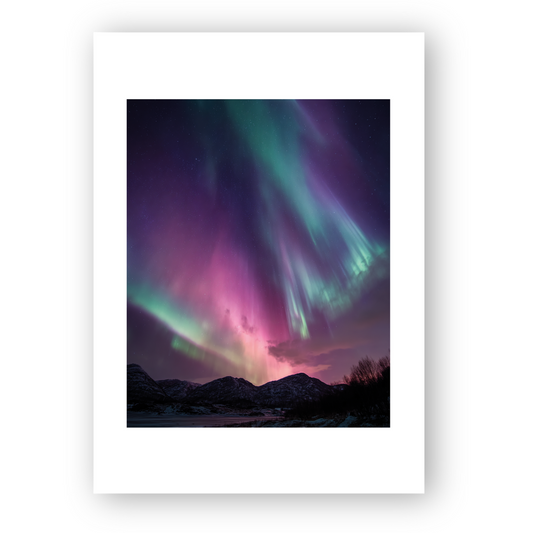 Boreal