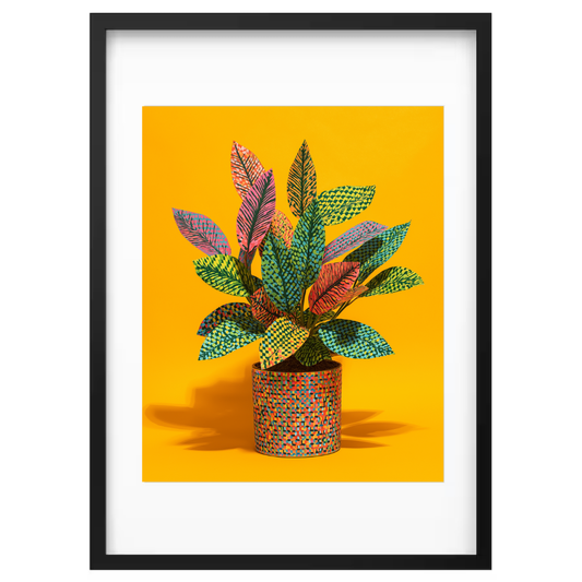 Patterned Growth
