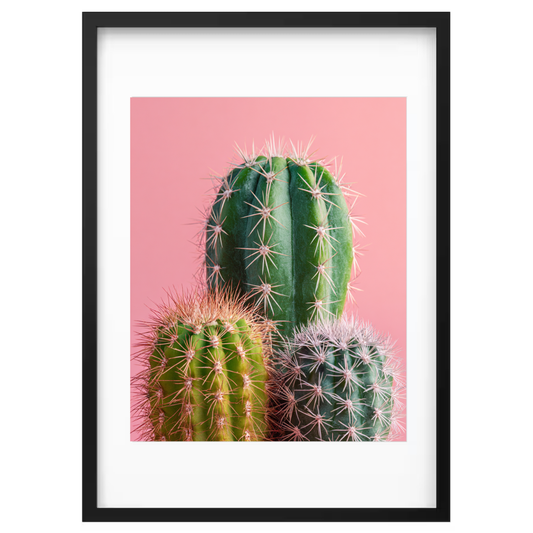 Blush & Spines