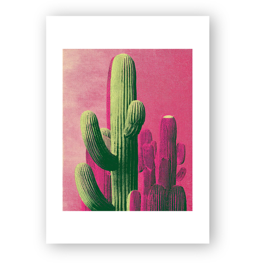 Cactus Fever