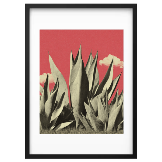 Before Bloom
