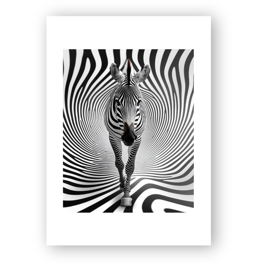 Zeebra