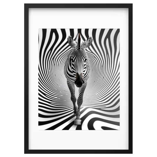 Zeebra