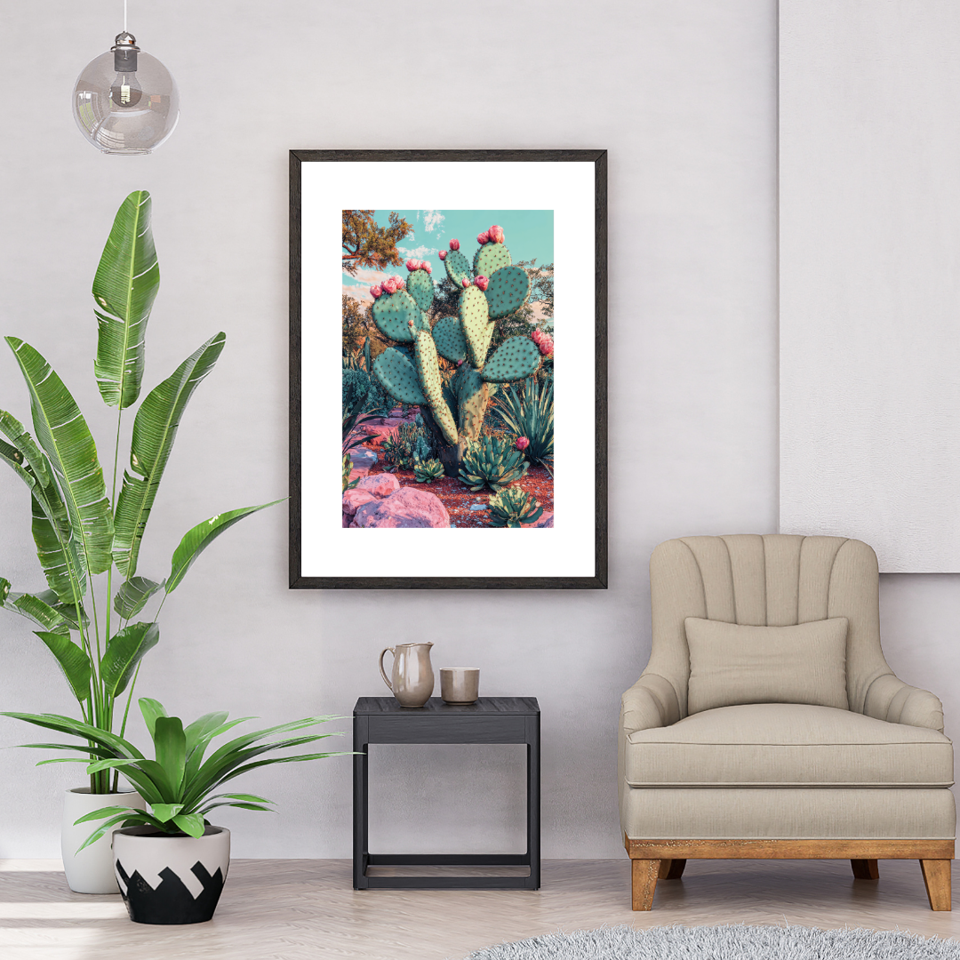 Cactus